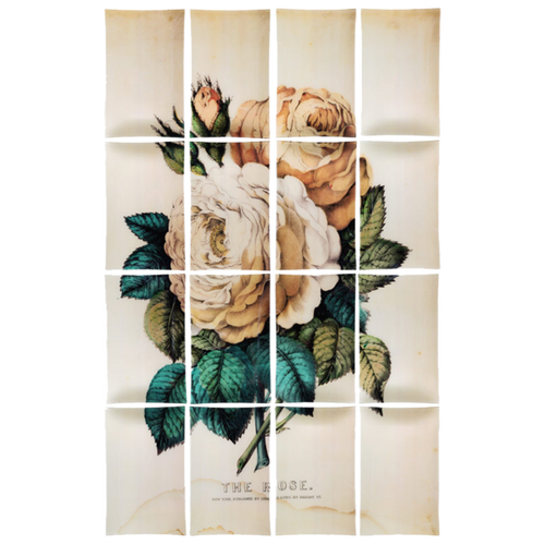 Rose (16 Pieces)