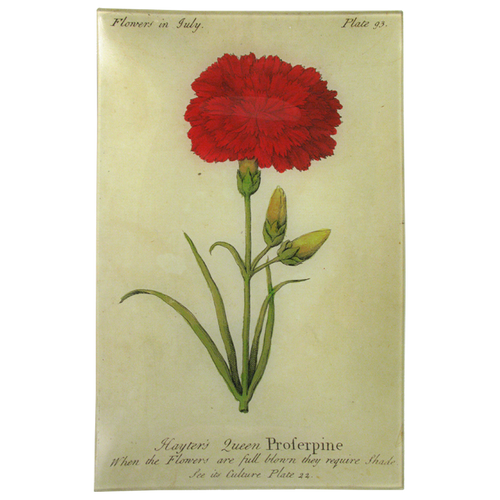 Queen Prospertine (Floral)