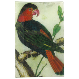 Parrot #11