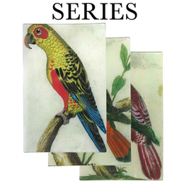 Parrots