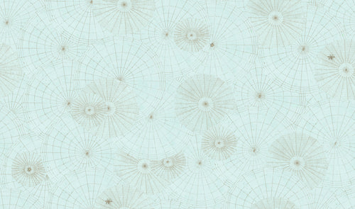 Webs - Blue