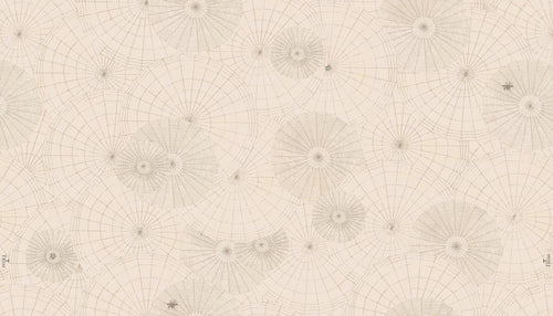 Webs - Parchment